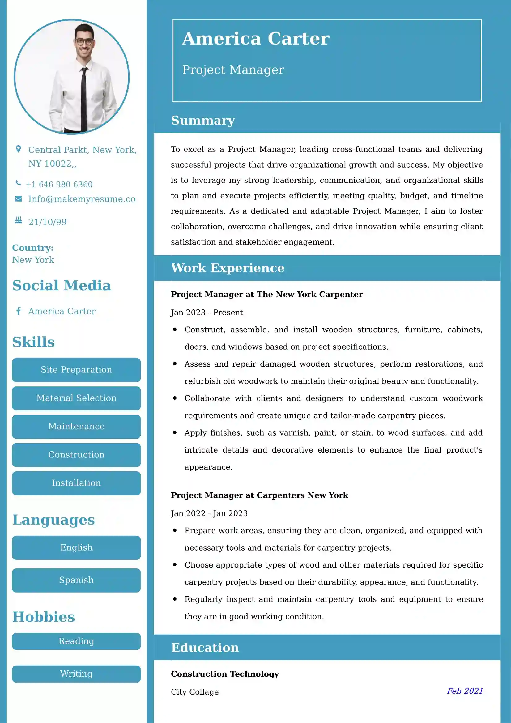 Project Manager Resume Examples India