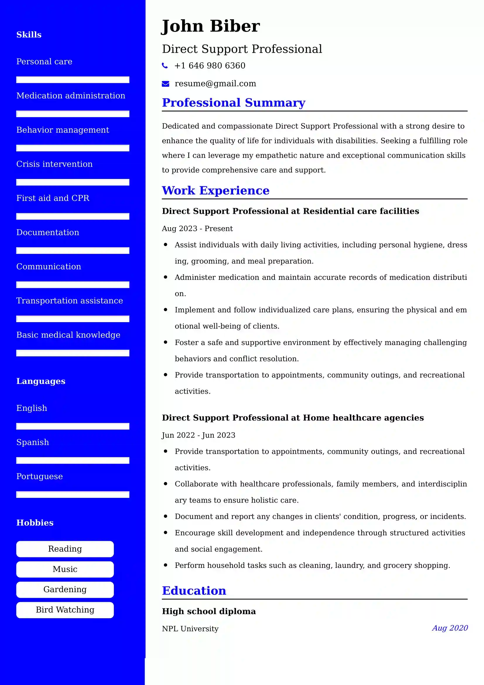 Direct Support Professional Resume Examples India